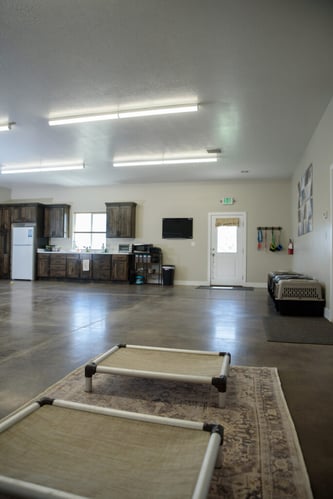 ACP_7855-683x1024 ACP_7855-683x1024