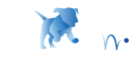 PST 2