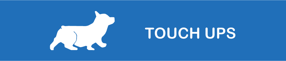 Touch Ups Banner