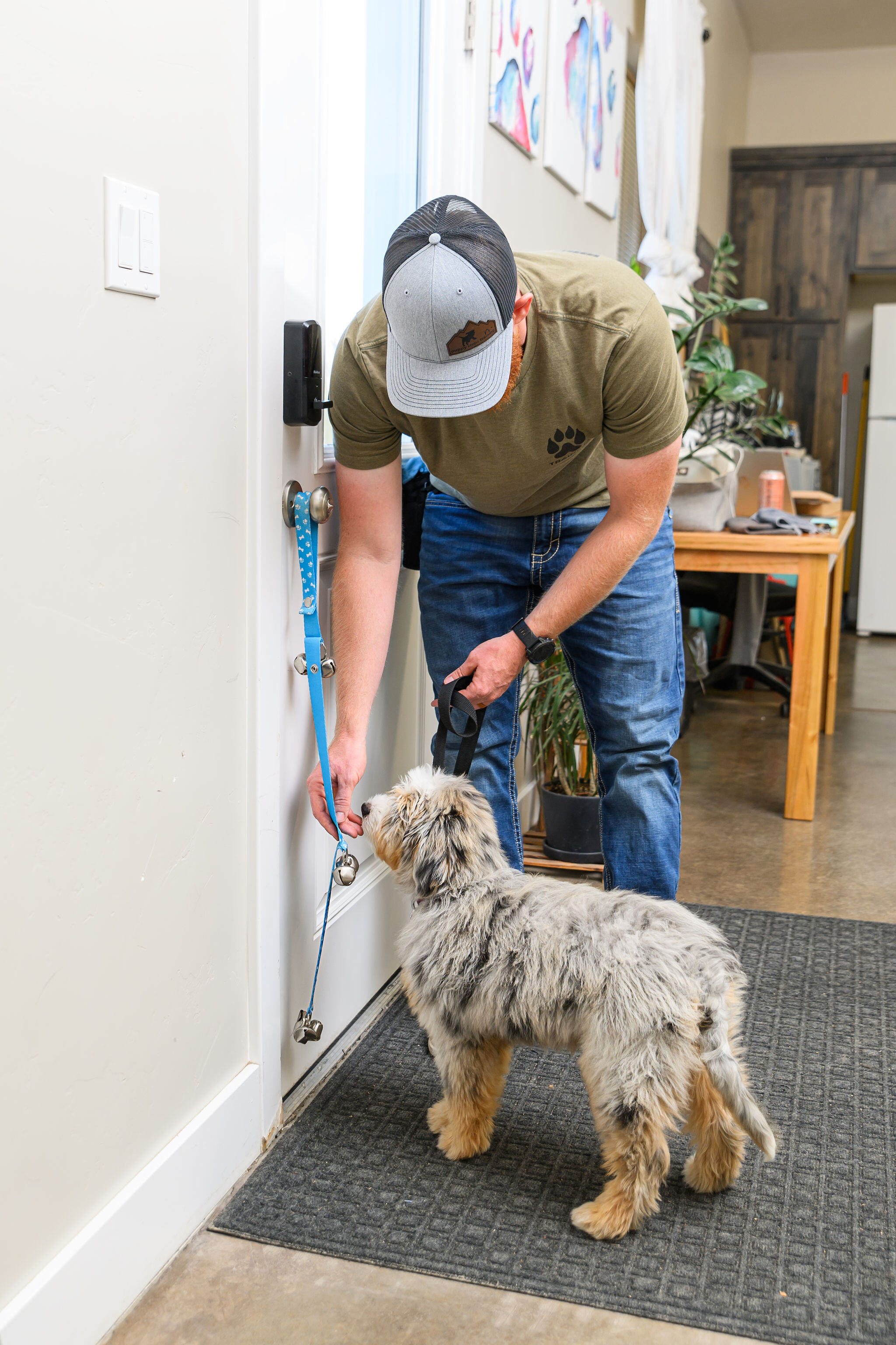 Potty Training Your Puppy, Simplified